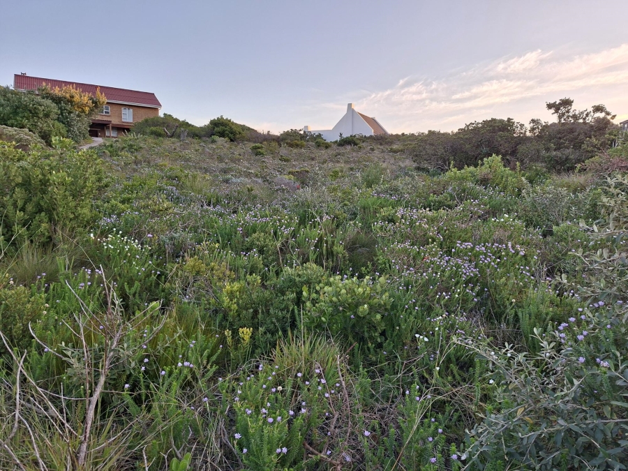 0 Bedroom Property for Sale in Pringle Bay Western Cape